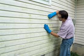 Affordable Siding Repair and Maintenance Services in Indian Lake, TX